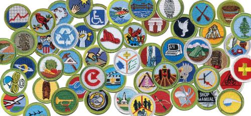 Public Merit Badge Sheets - Boy Scout Troop 2020 (Haslet, Texas)